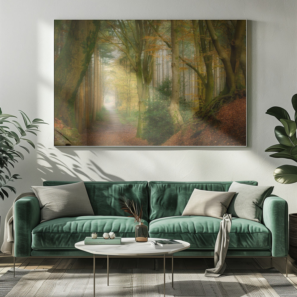 Volg de mist | Canvas