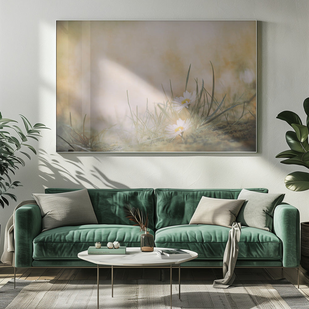 Zonder titel | Canvas
