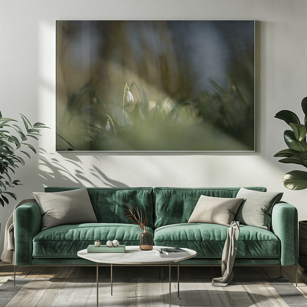 Almost alone... | Canvas