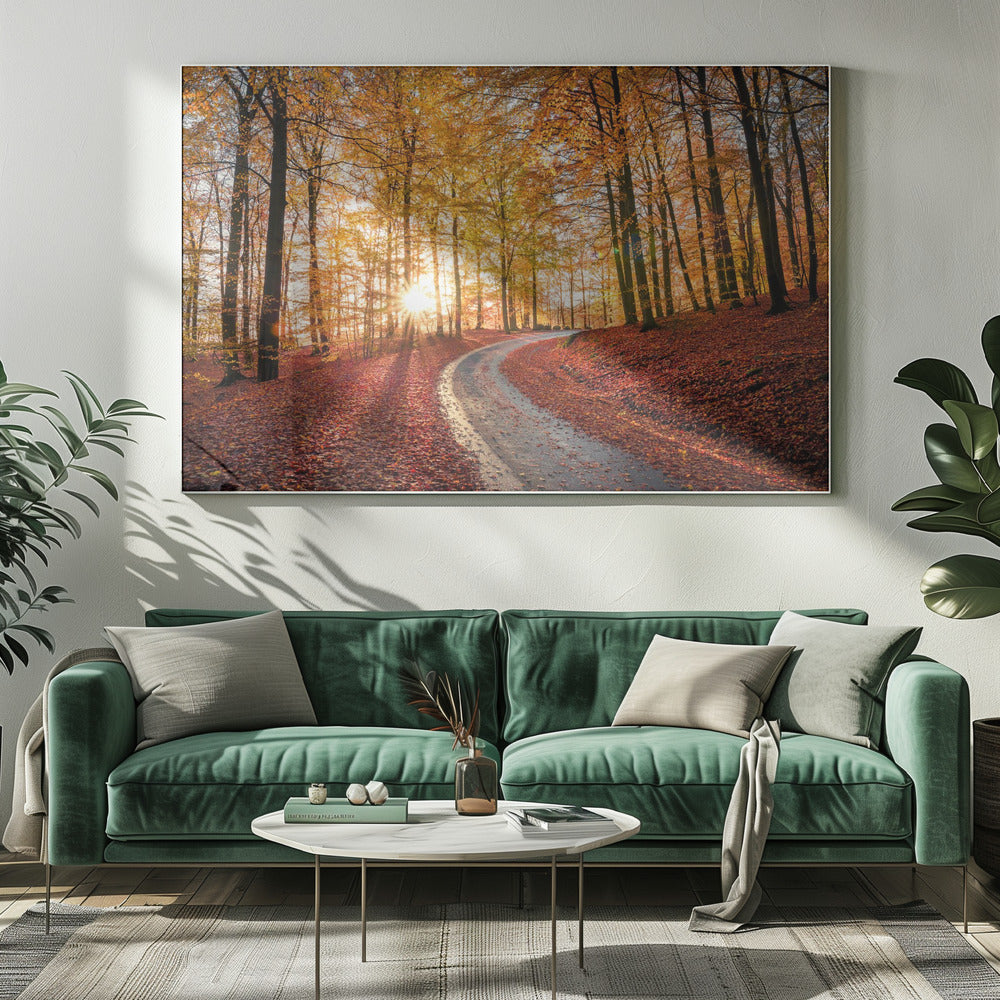 Weg in nationaal park Söderåsen, Zweden | Canvas