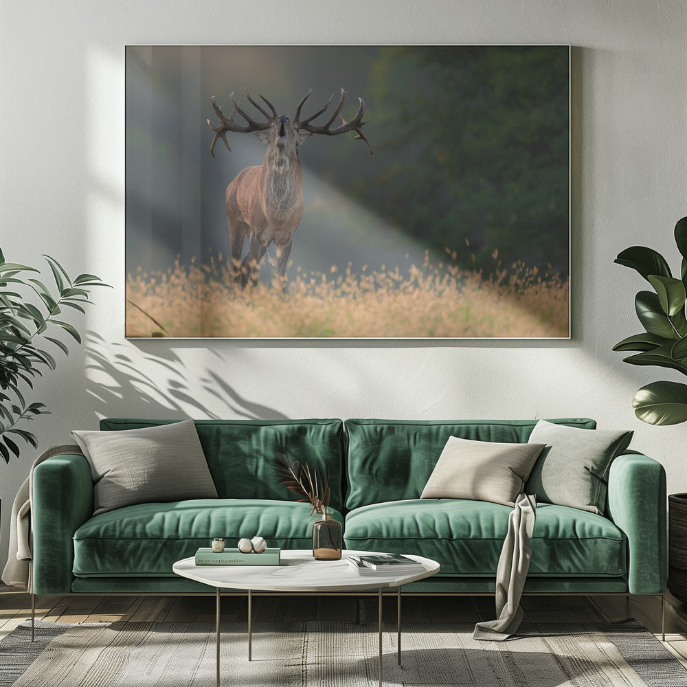 Hertenhuwelijkslied | Canvas