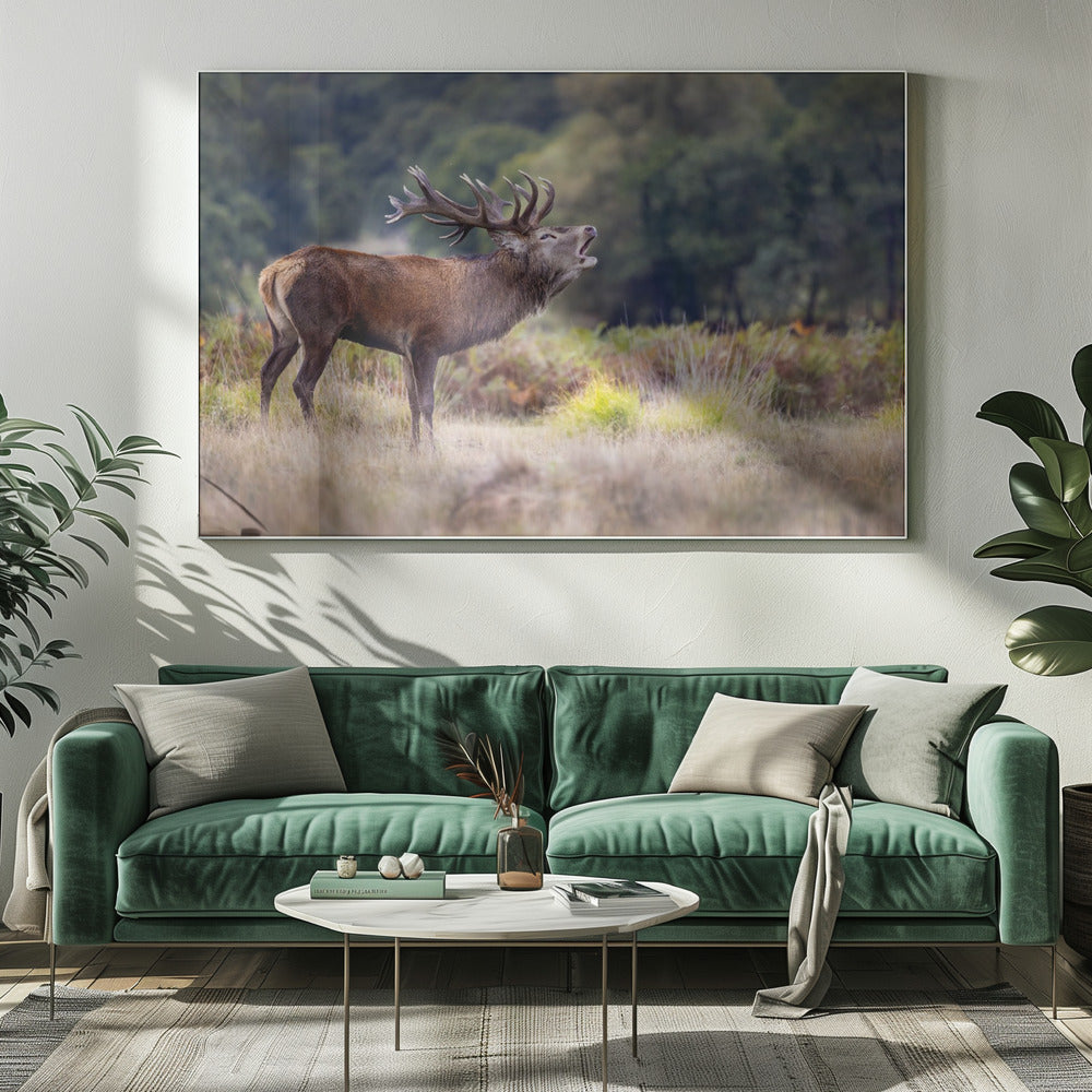 The scream of the deer | Canvas