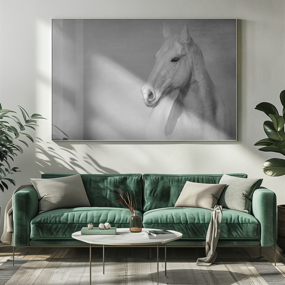 Het grijze paard | Canvas