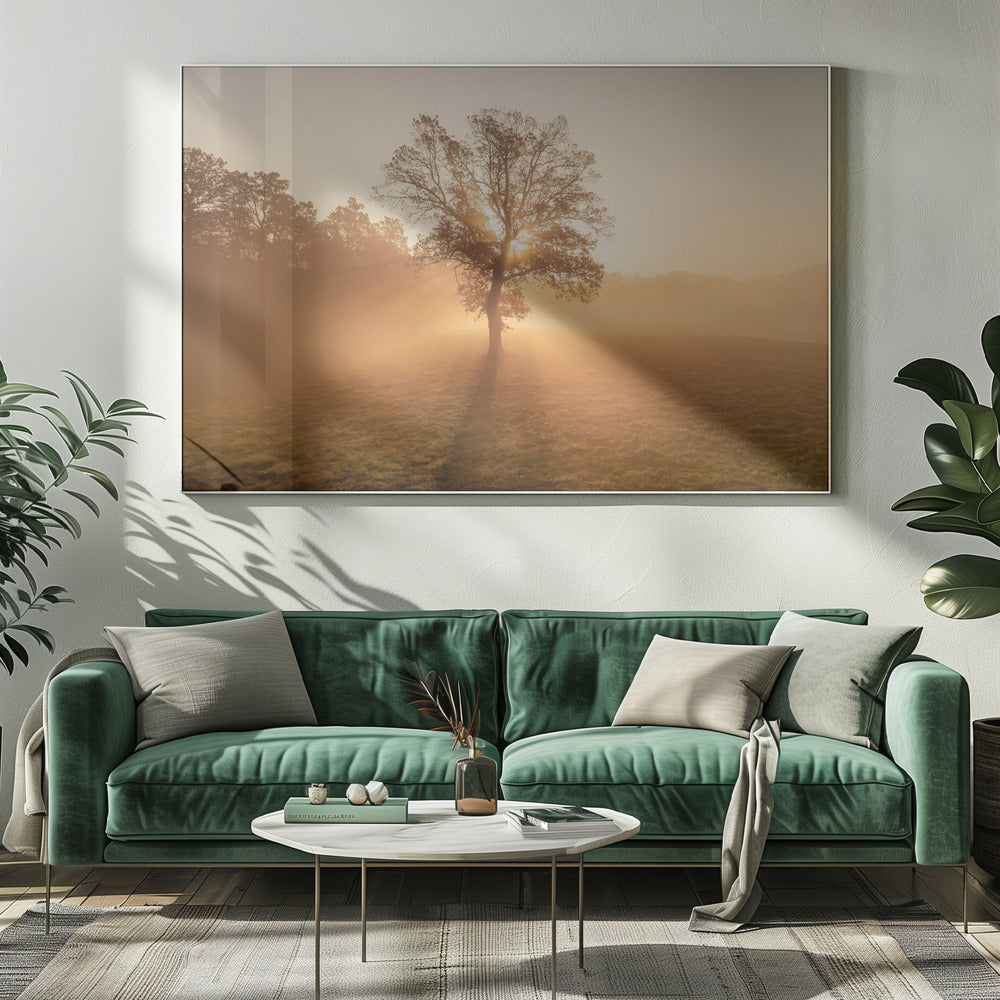 Eenzame boom | Canvas