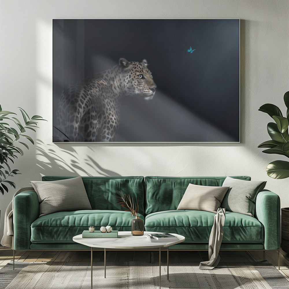Verbeelding | Canvas