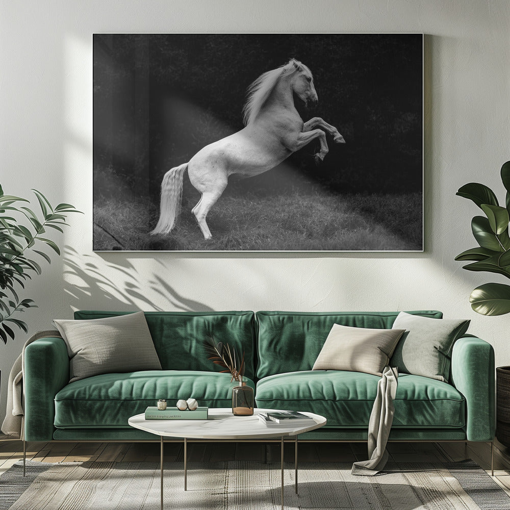 een kort verhaal over een grassprietje in een hoef | Canvas