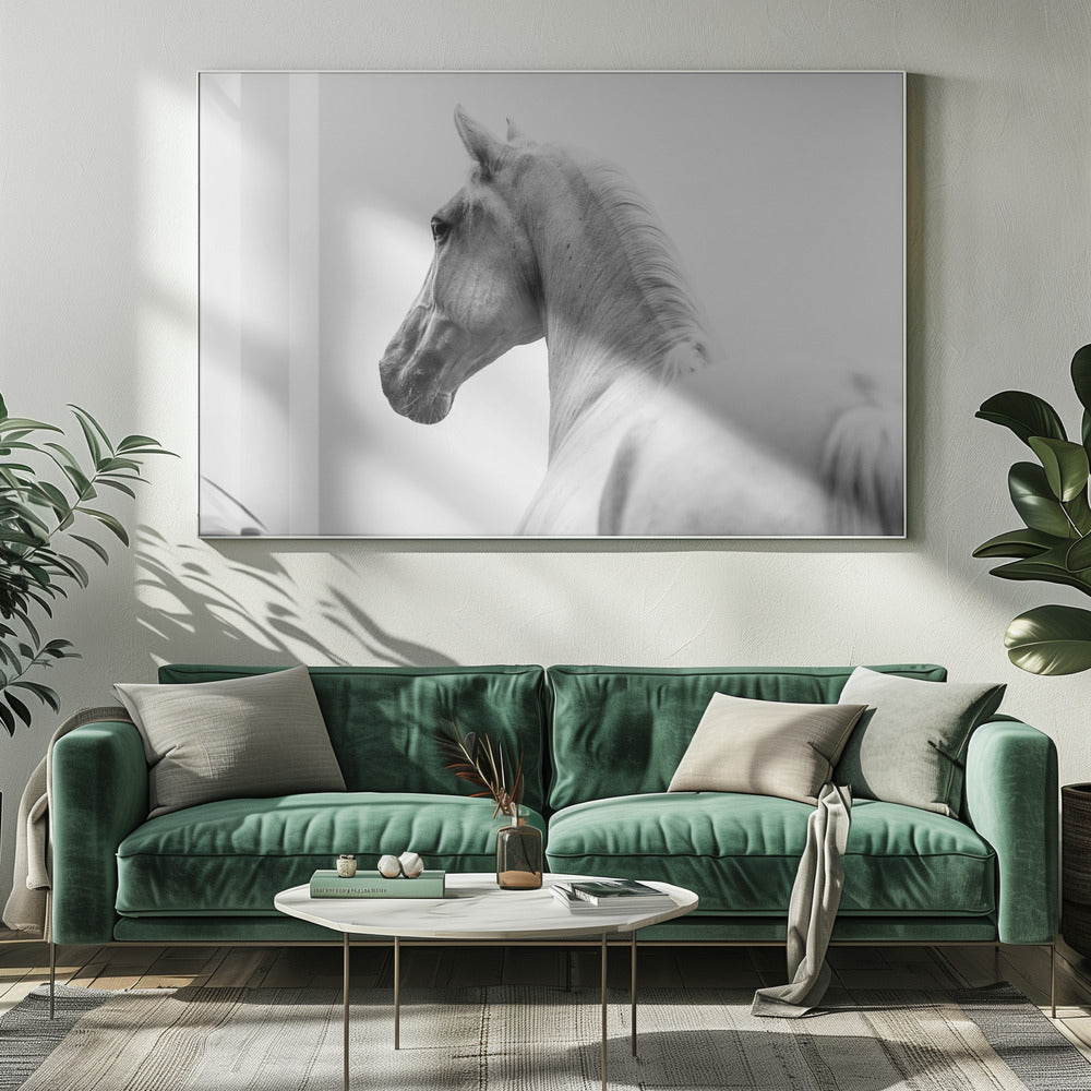 een kort verhaal over een geschoren paard | Canvas