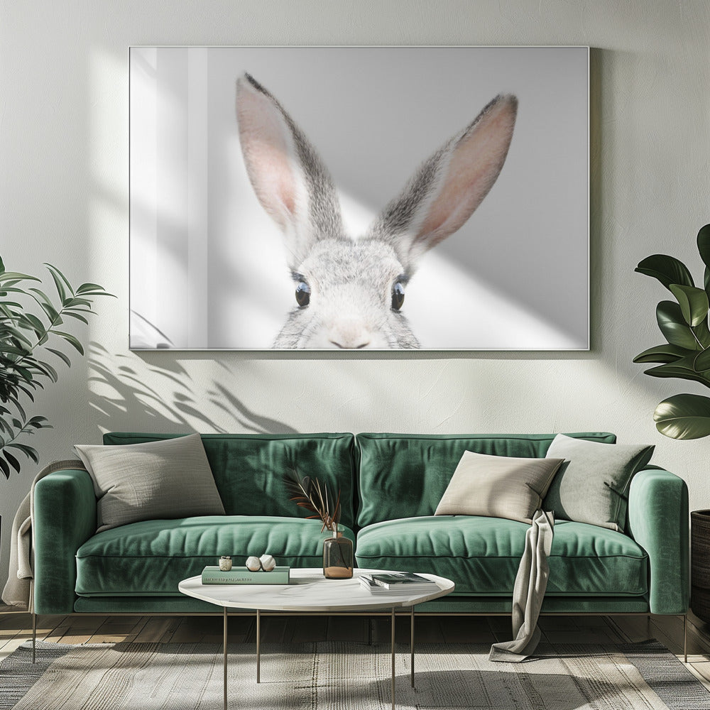 Glurend Konijntje | Canvas