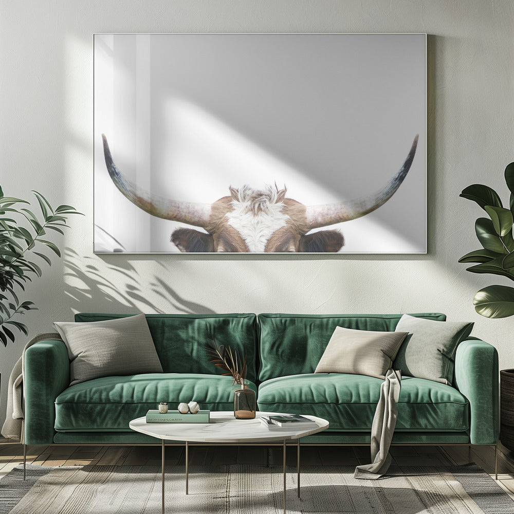 Glurende Longhornkoe | Canvas