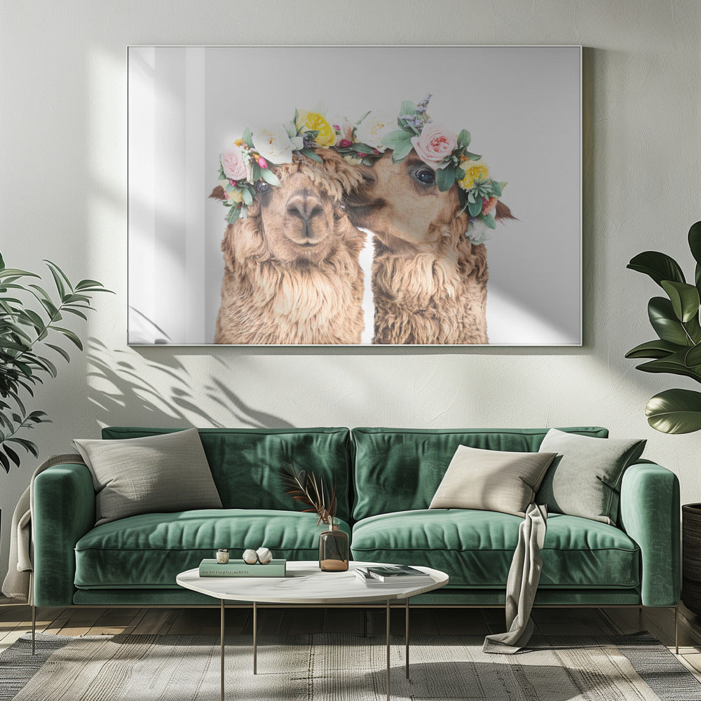 Boho Alpaca's | Canvas