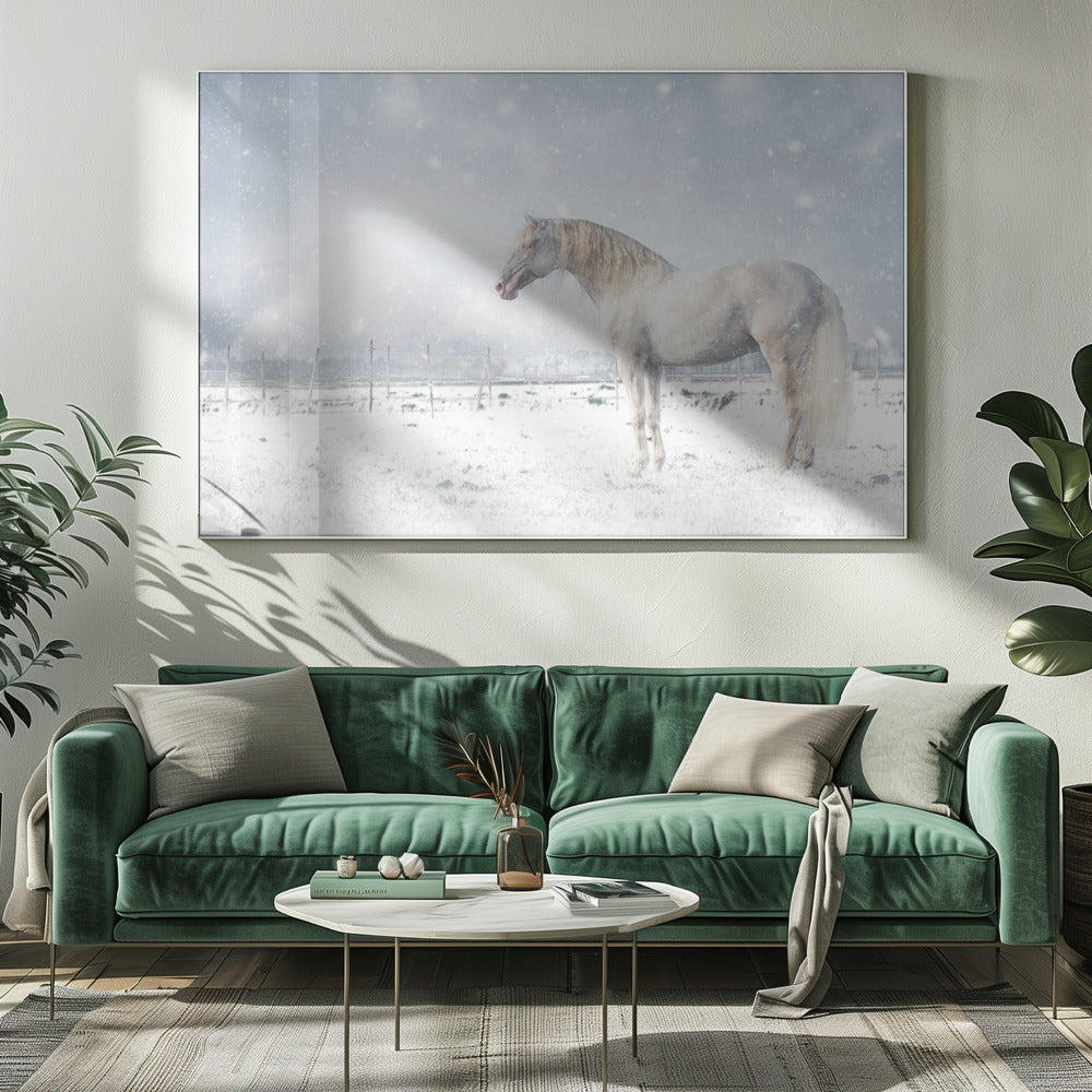 Laat het sneeuwen... | Canvas