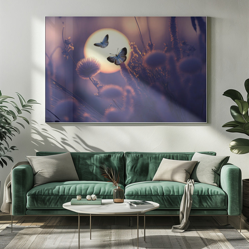 Geloof dat je kunt vliegen | Canvas