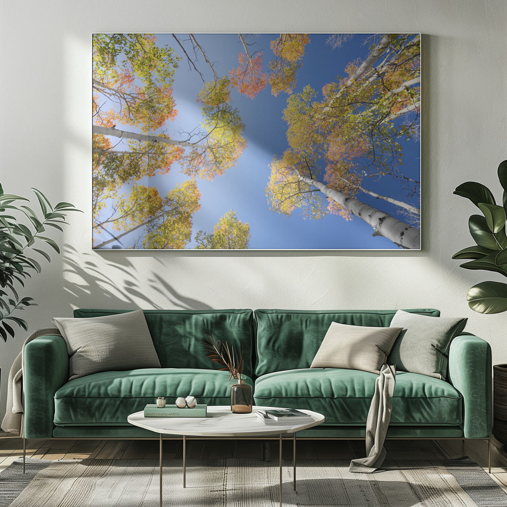 Herfstberken | Canvas