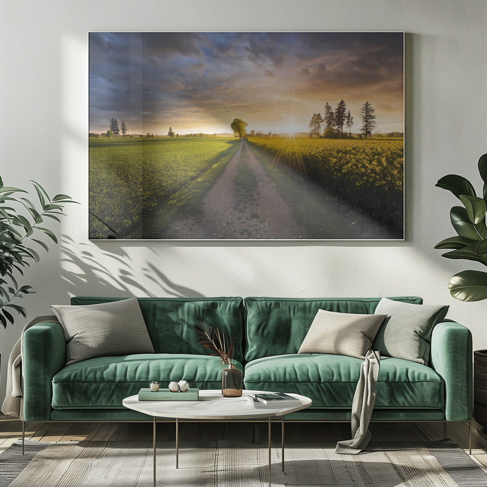 Zomerweide | Canvas