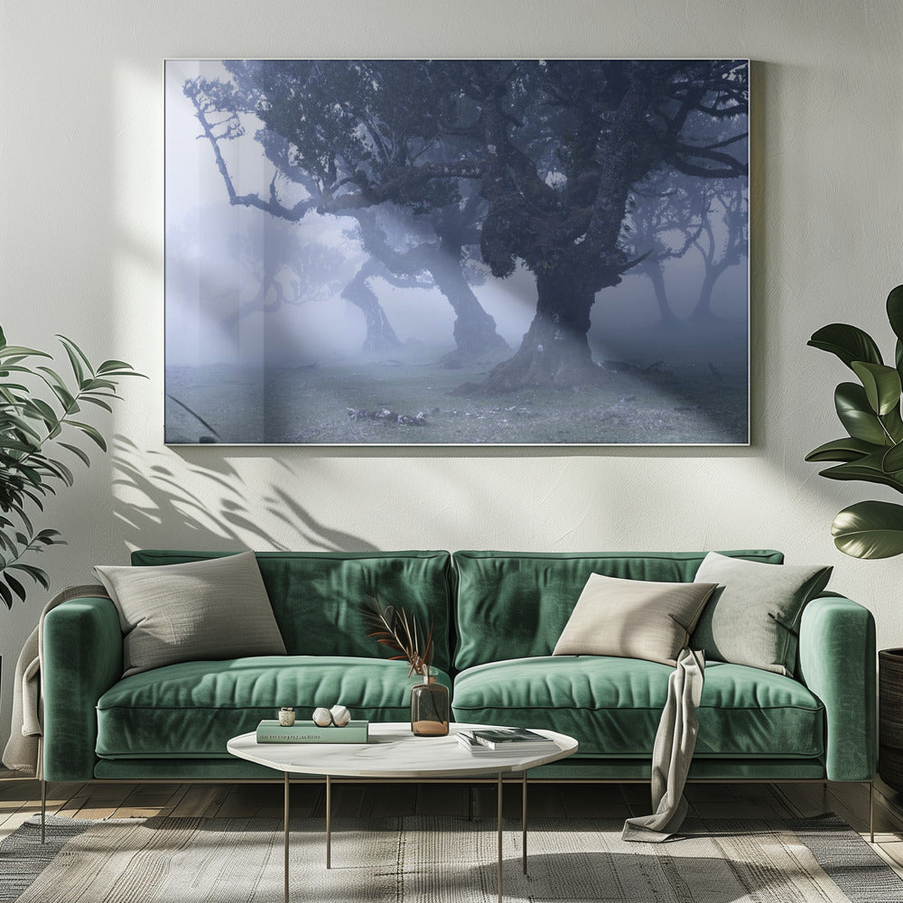 Blauwe bossen | Canvas