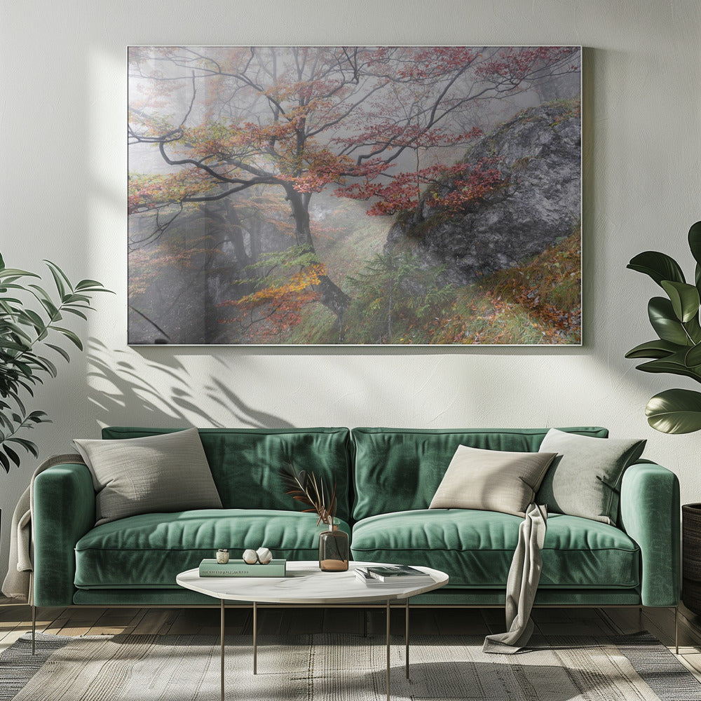 Mistige bossen | Canvas