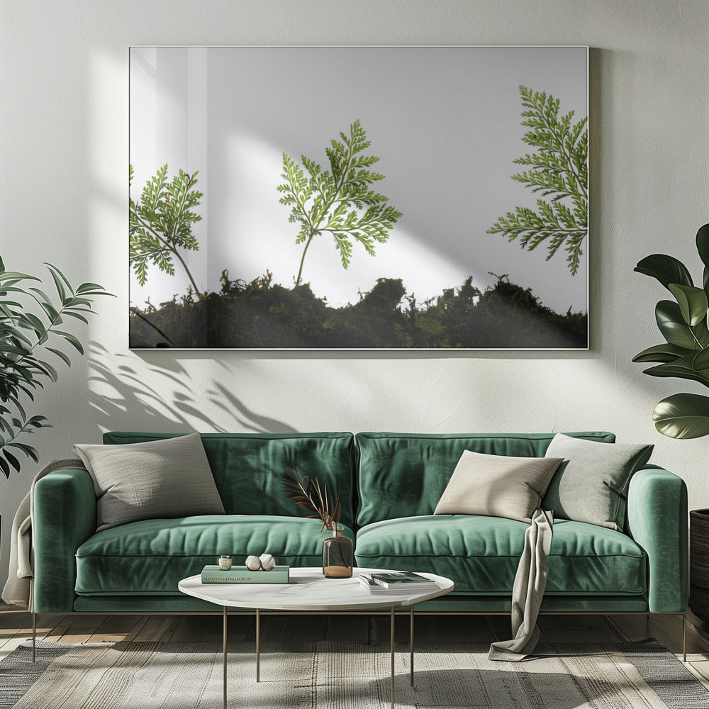 Varendetail | Canvas
