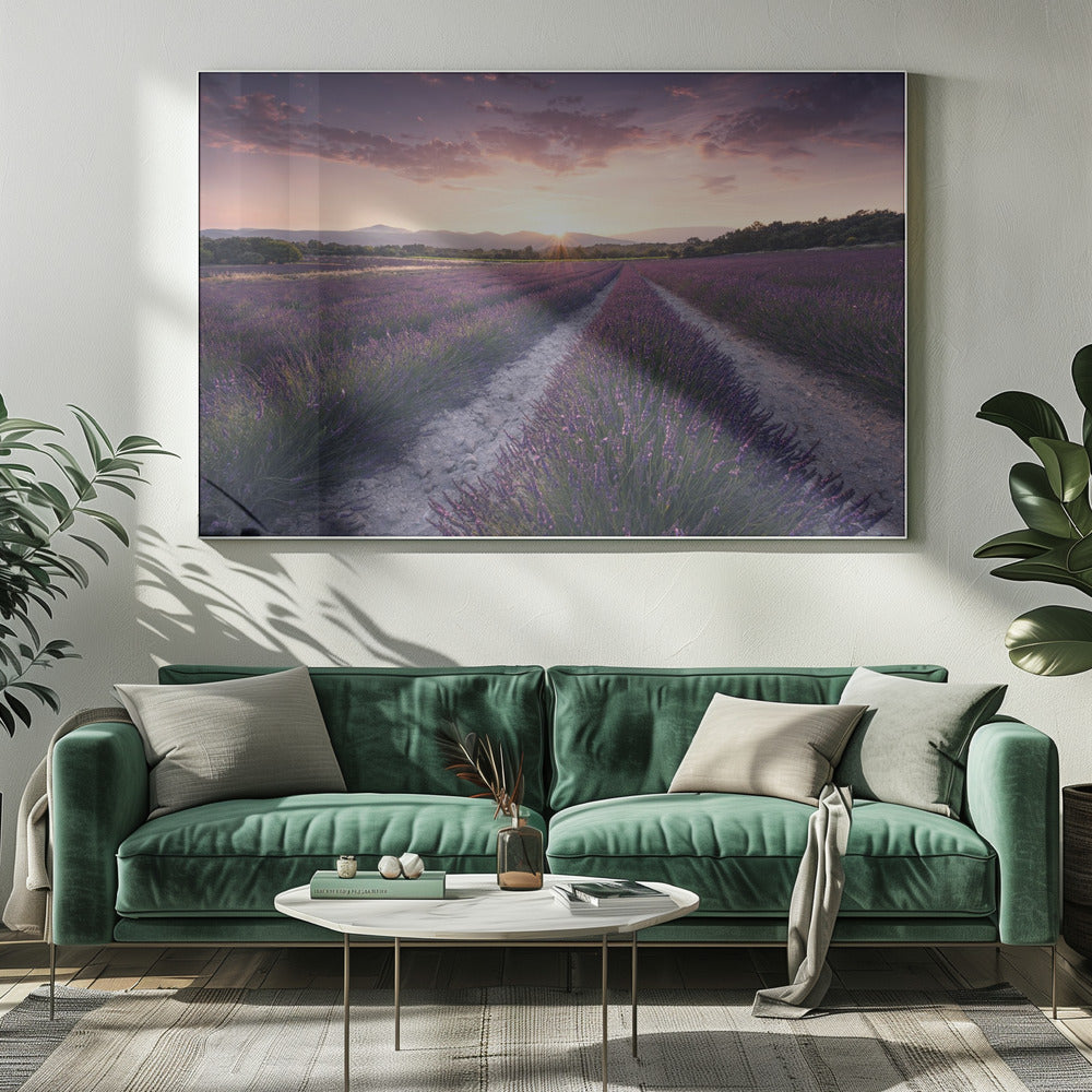 Paarse Provence | Canvas