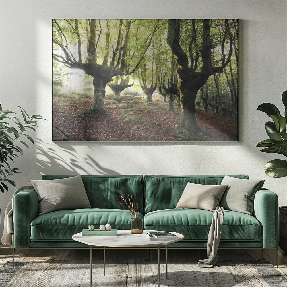 Magisch Bos | Canvas