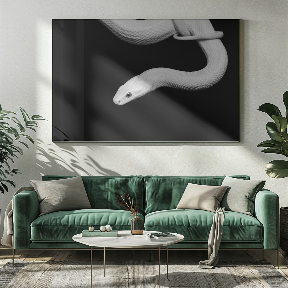 Slang Blanc | Canvas
