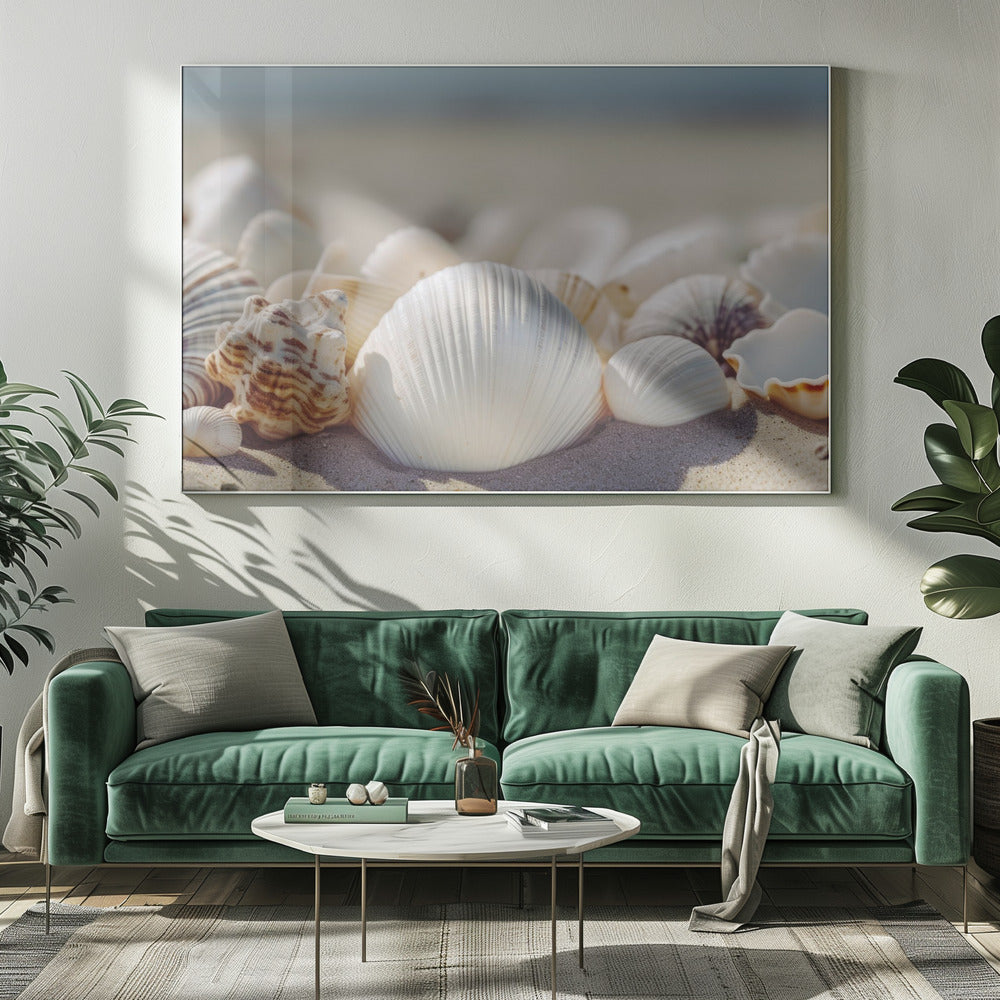Schelpen aan zee | Canvas