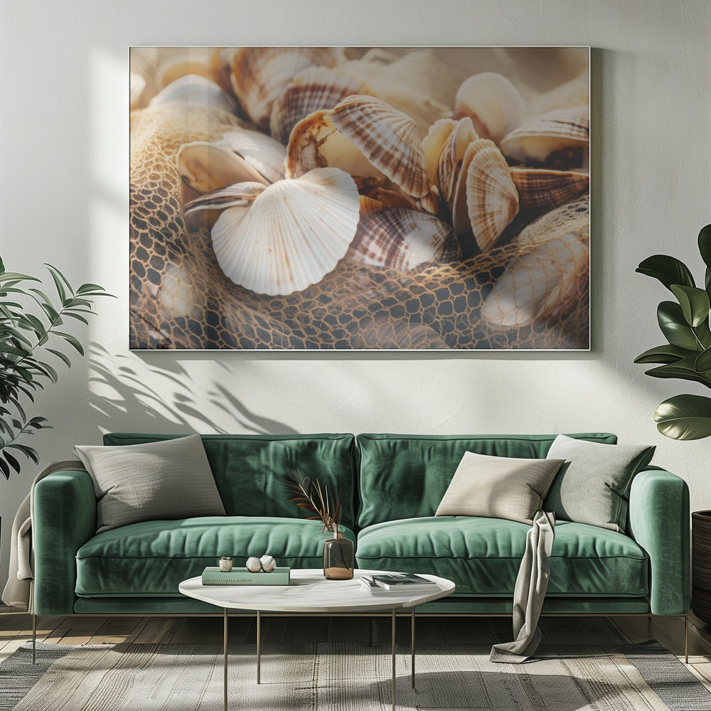 Schelpensymfonie | Canvas