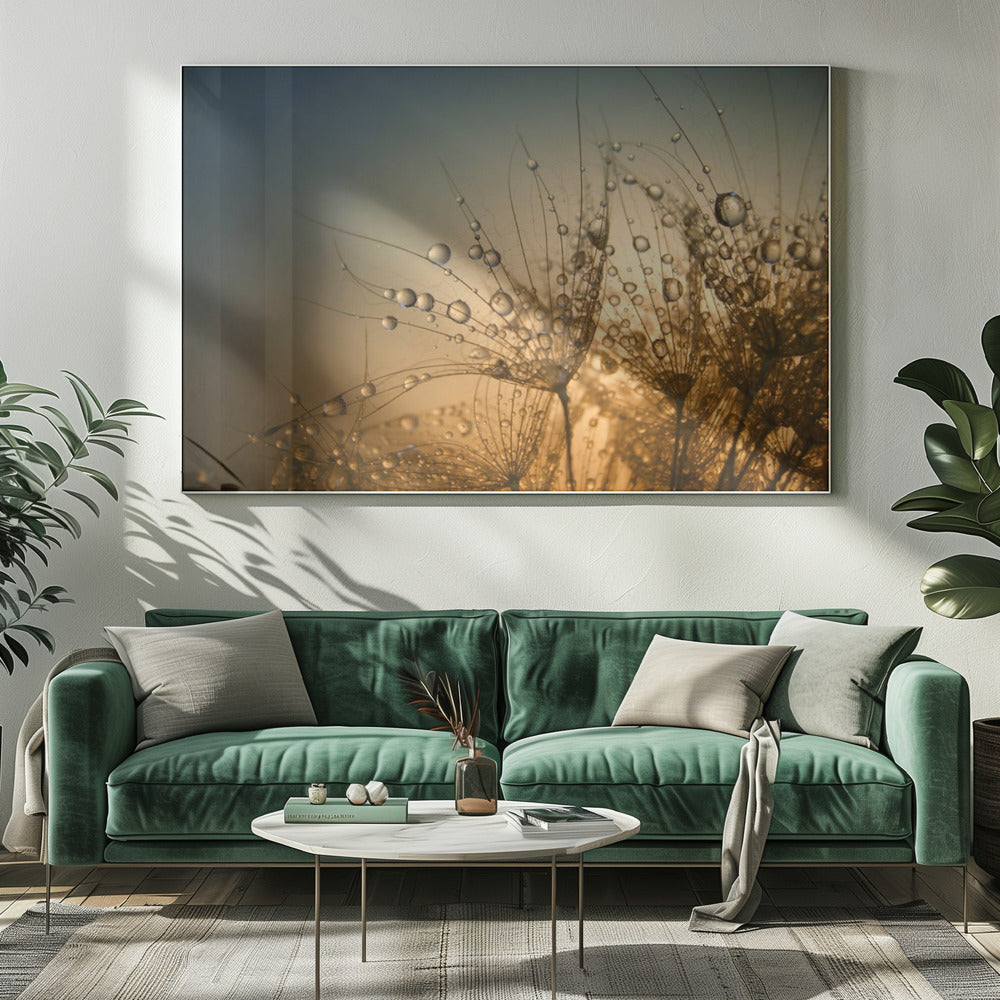 Zacht is de nacht | Canvas
