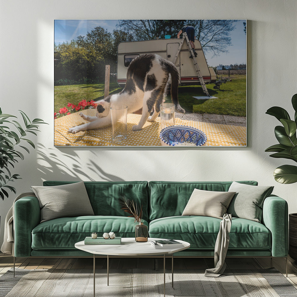 Vergelijkbare poses... | Canvas