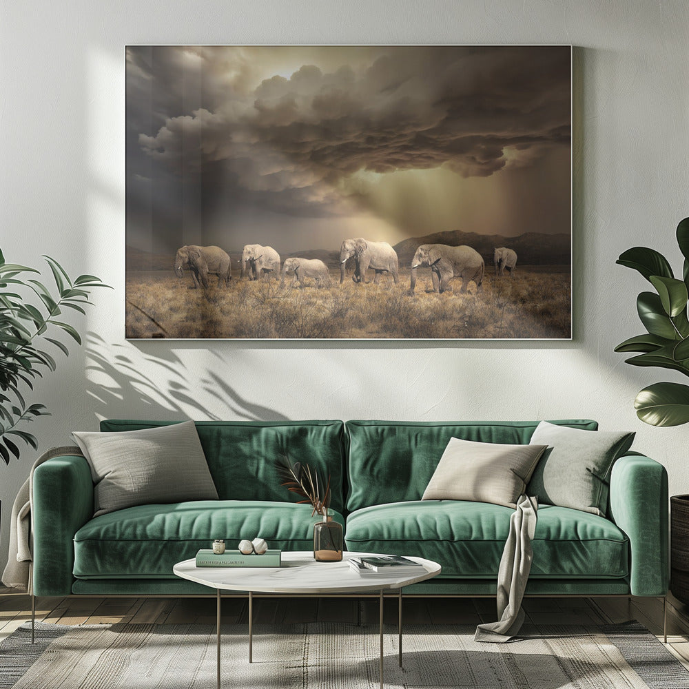 Gratis Olifanten | Canvas