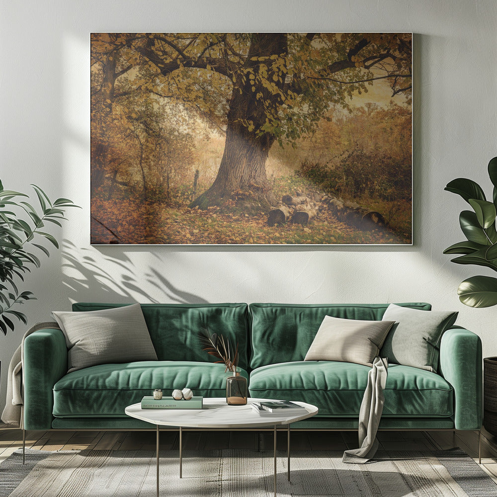 Oude boom | Canvas