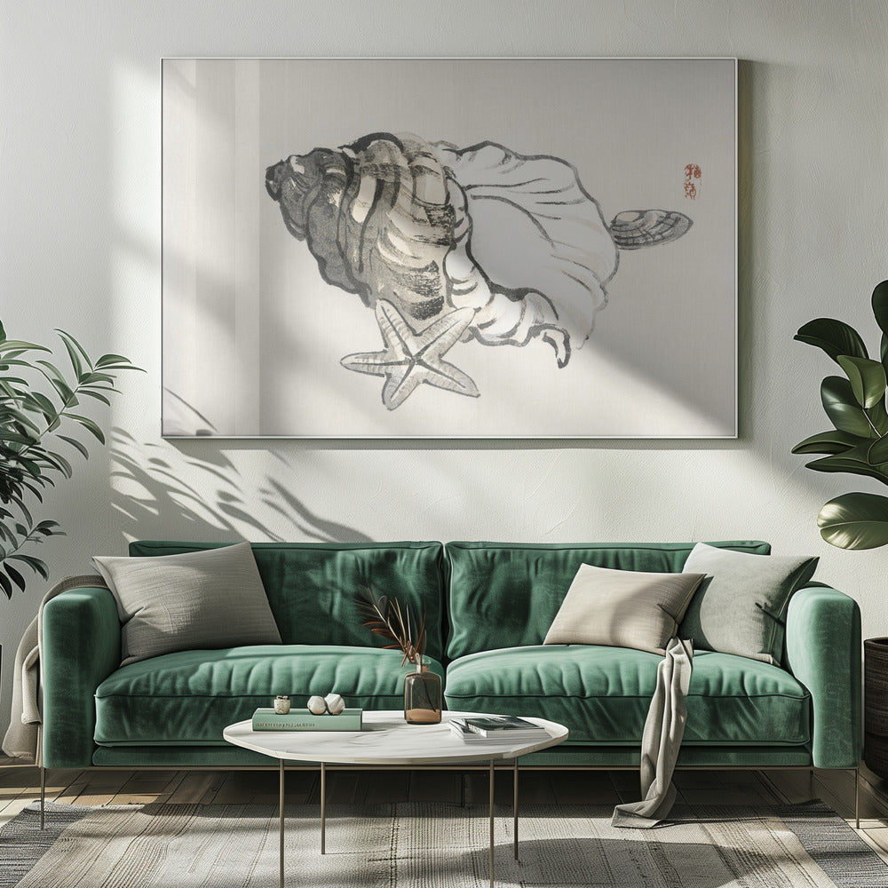 Zeester en schelp | Canvas