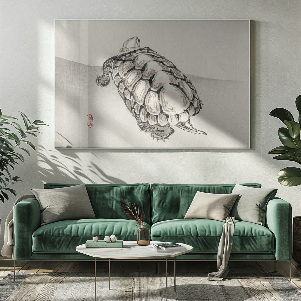 Schildpad | Canvas