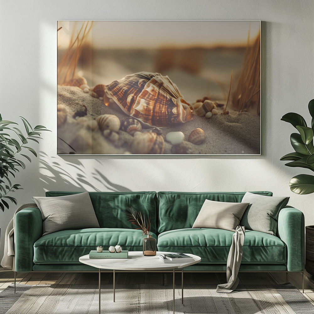 Schelpen bij zonsondergang | Canvas