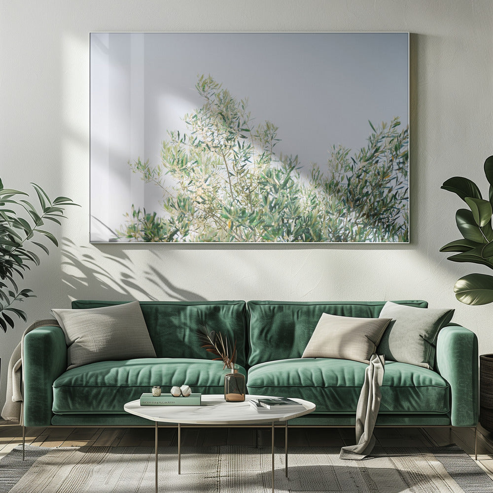 Olijven in Ostuni | Reisfotografie Italië | Canvas