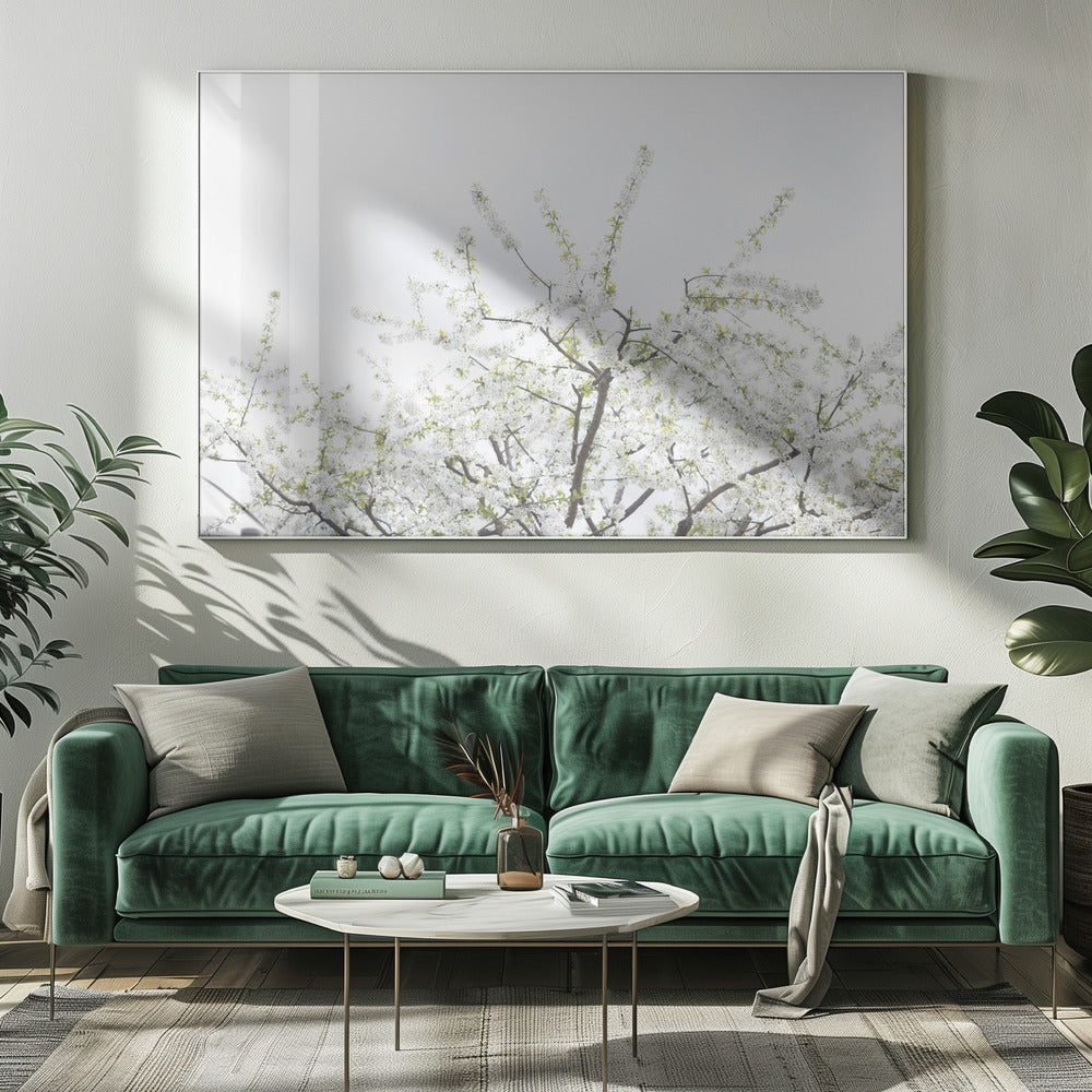Witte Lenteboom 2 | Canvas