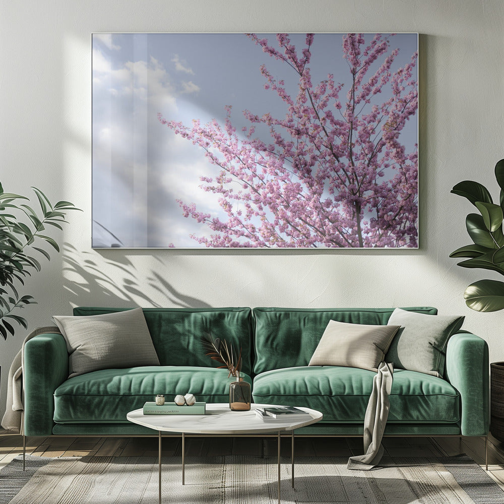 Kleurrijke Lente 12 | Canvas