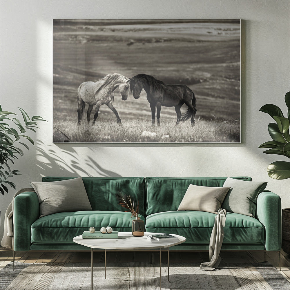 nauwe ontmoeting | Canvas