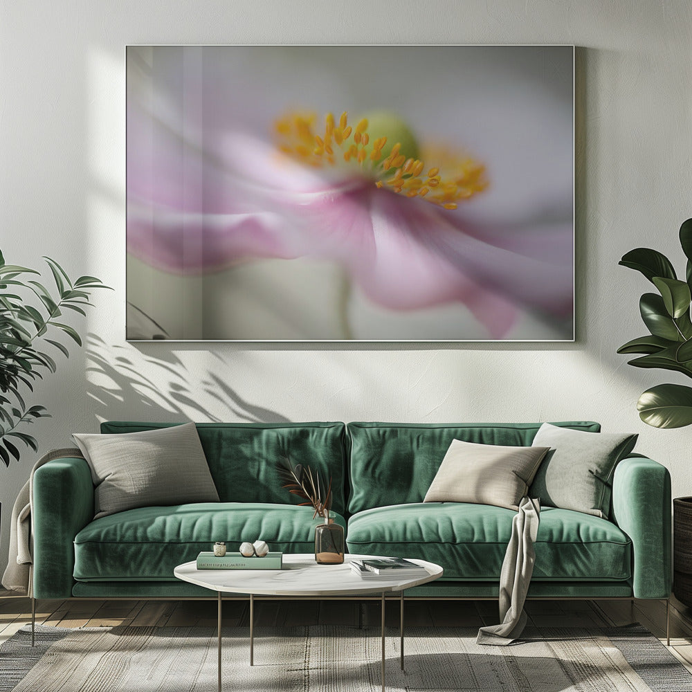 Dromerigheid | Canvas
