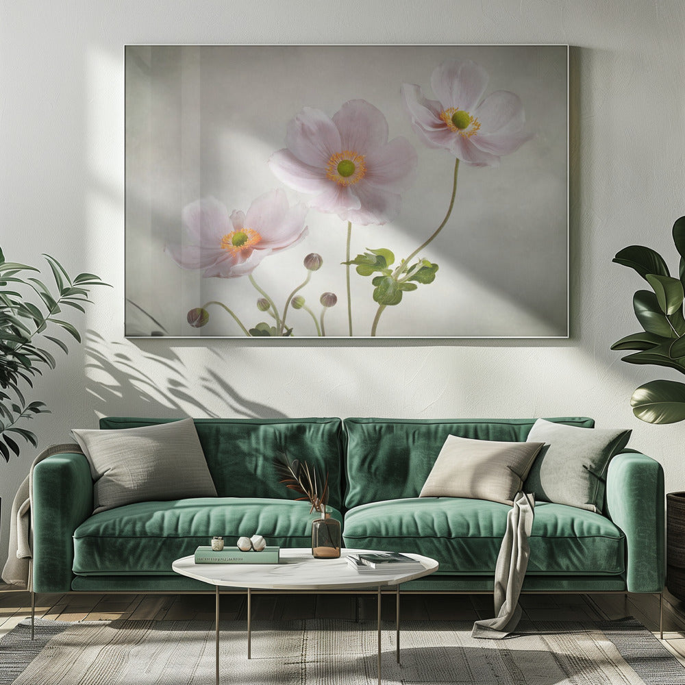 Anemonen | Canvas