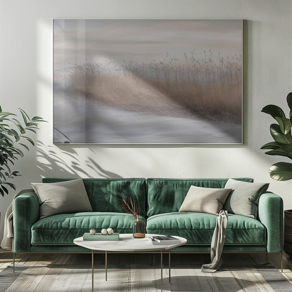Winterriet | Canvas