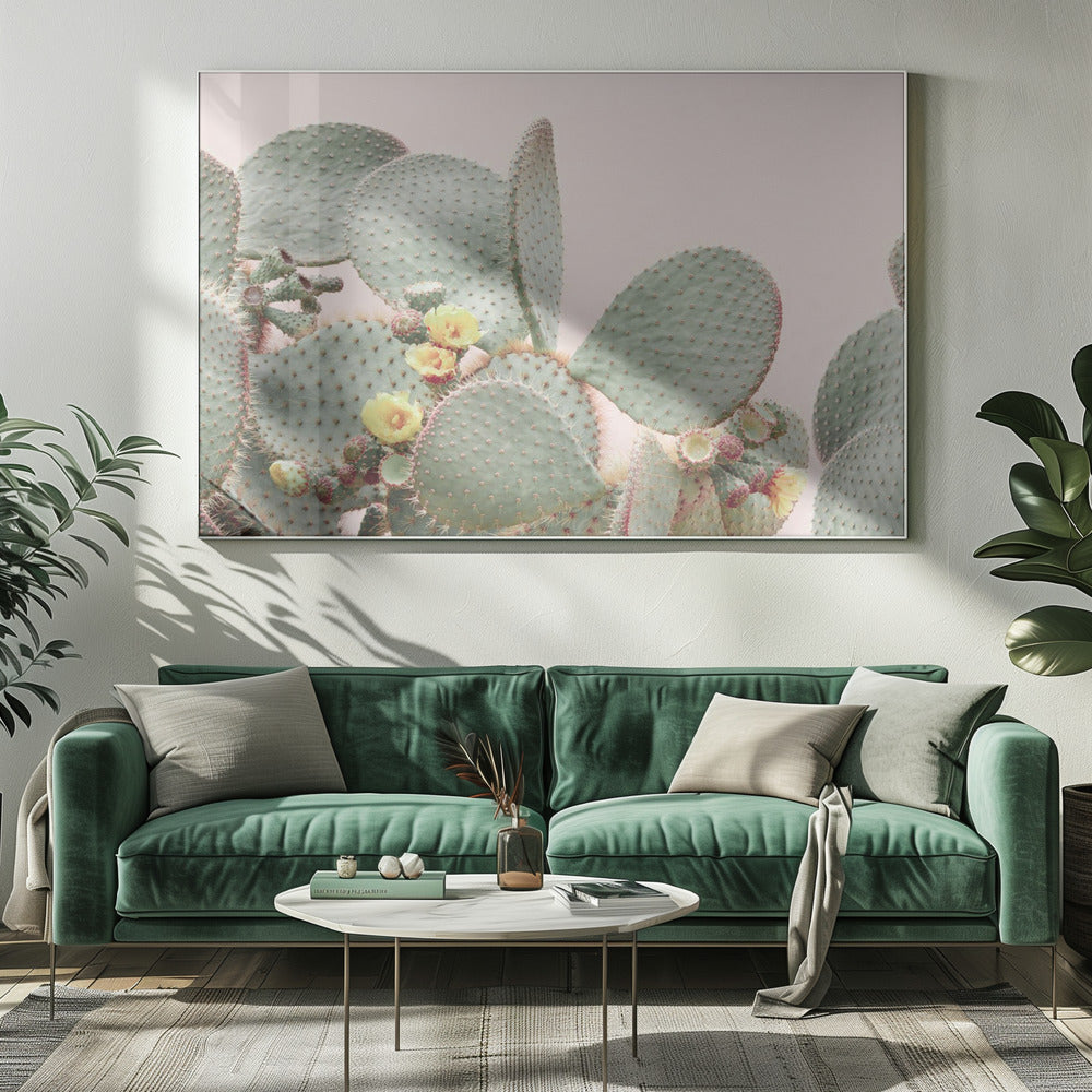Bloeiende Cactus | Canvas