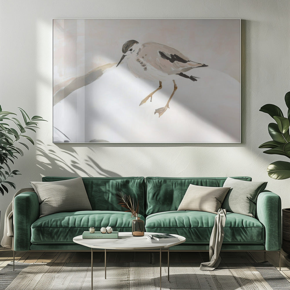 Schattige strandvogel | Canvas