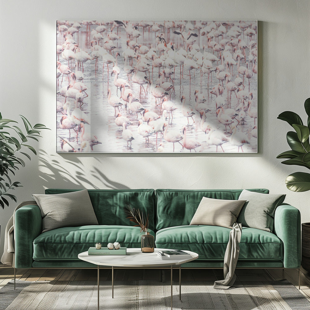 Flamingo's | Canvas