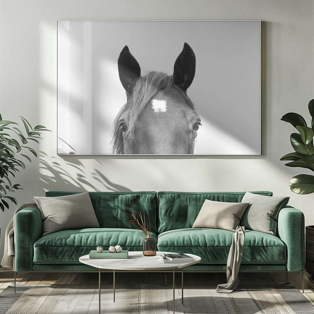 Glurend paard | Canvas