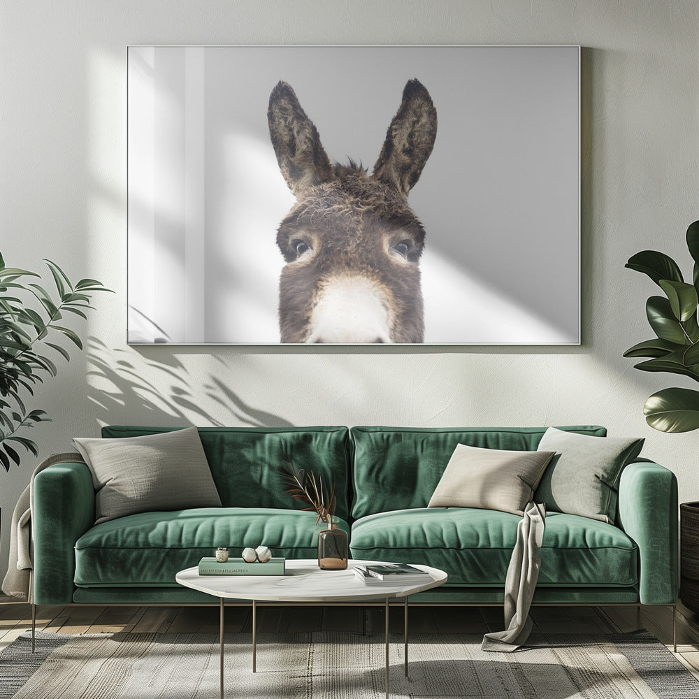 Glurende ezel | Canvas