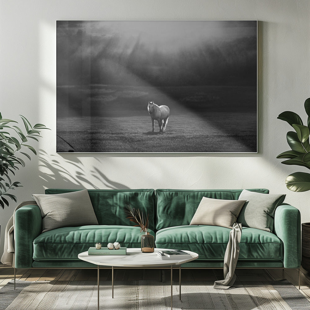 ochtendoptreden | Canvas