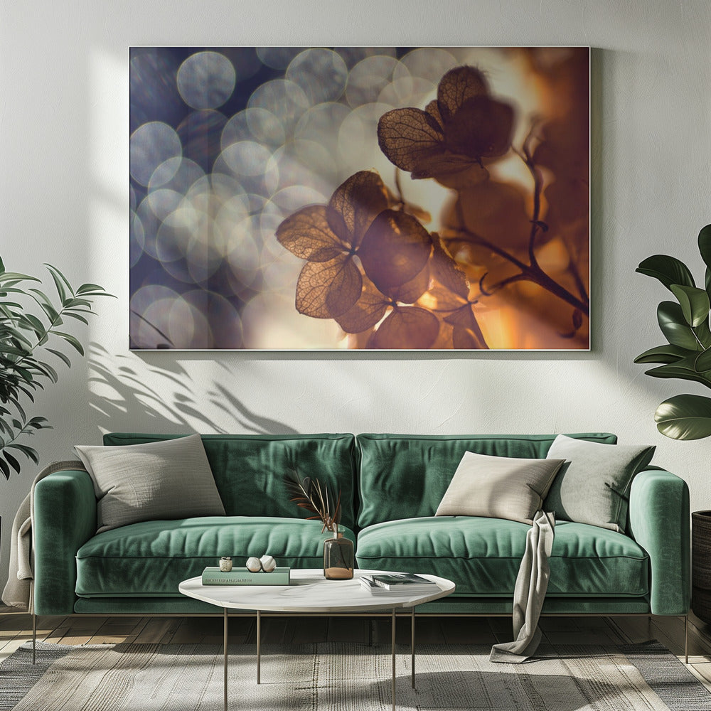 .:.:.** | Canvas