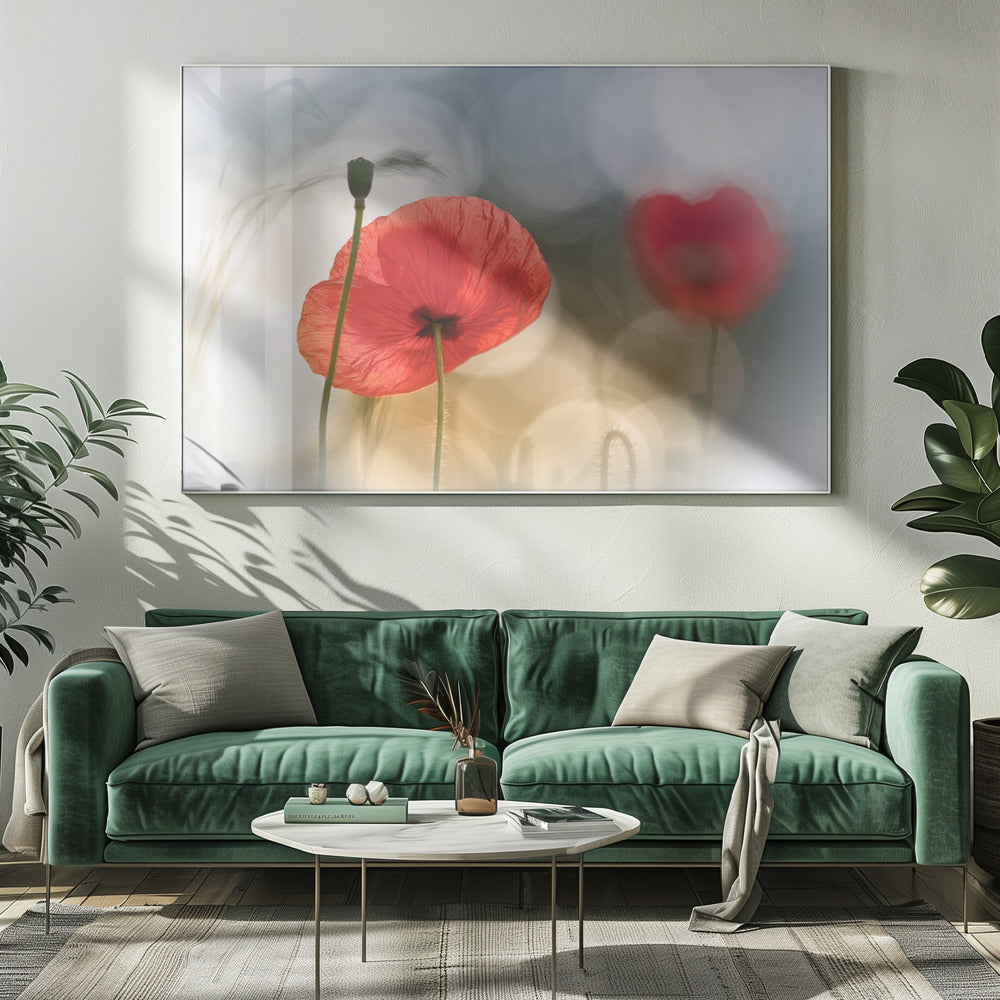 Ochtendklaprozen | Canvas