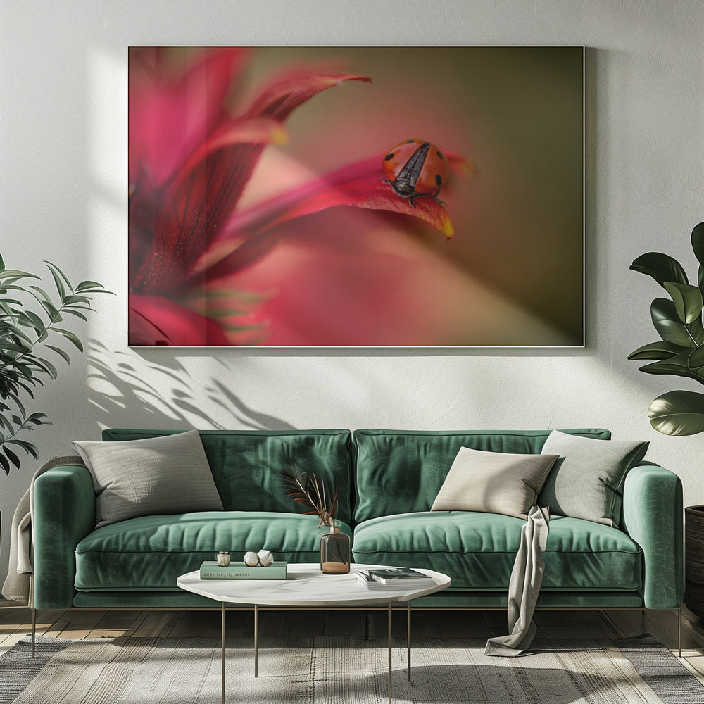 Gewoon rood | Canvas