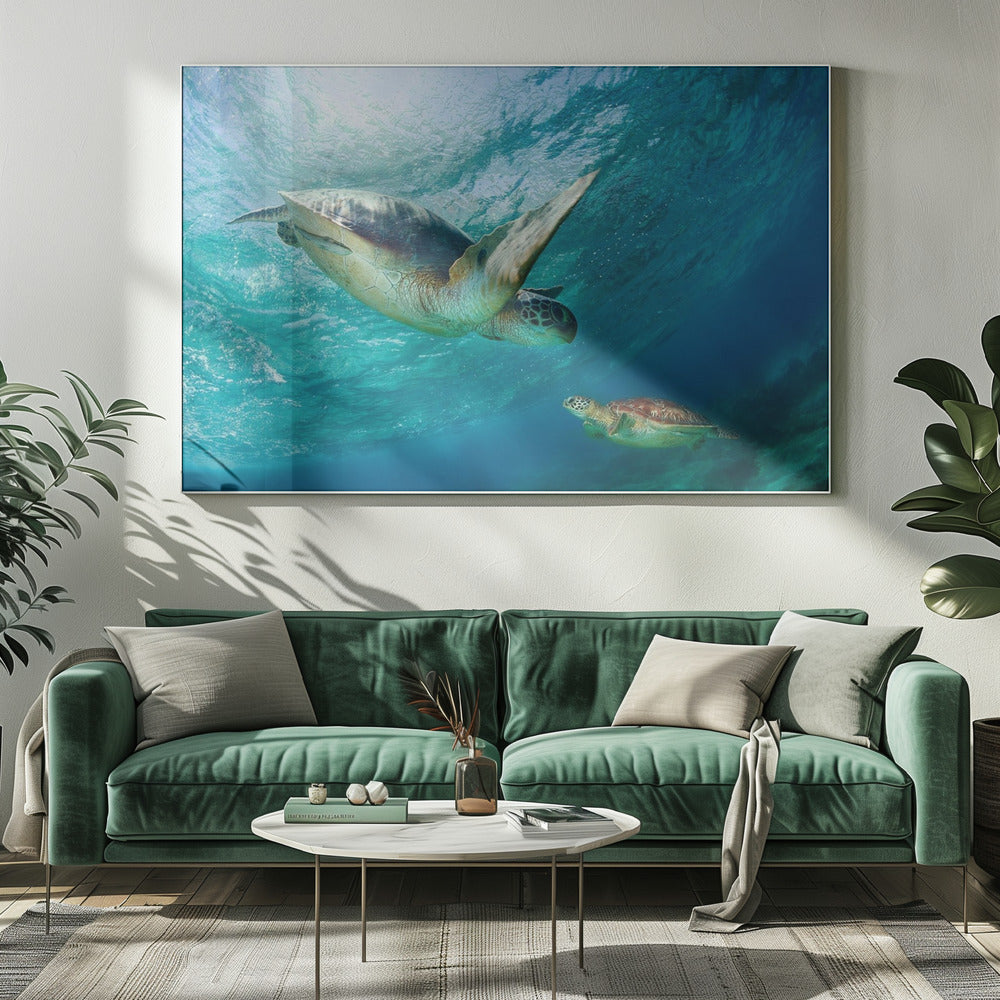 Contact | Canvas